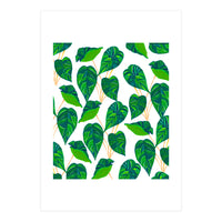 House Plant (Print Only)