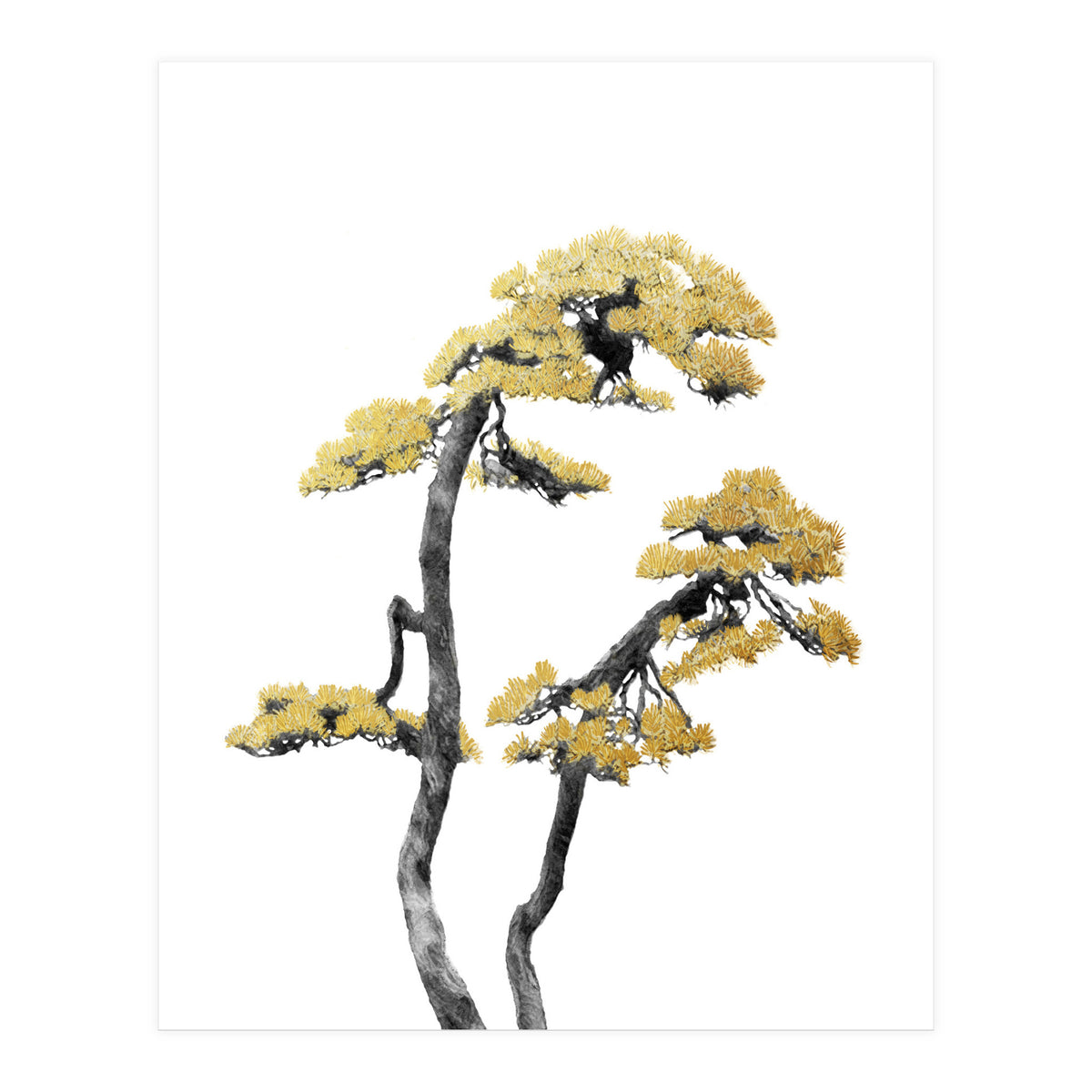 Bonsai Tree 06 (Print Only)