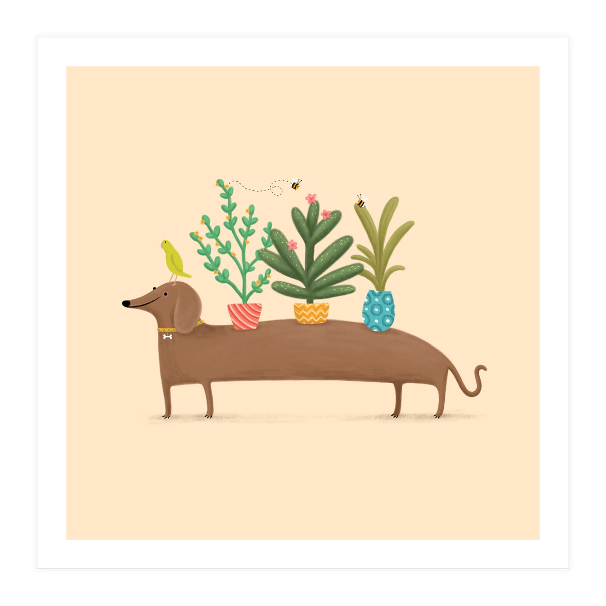 Dachshund And Parrot (Print Only)