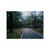 In To The Wild (Print Only) thumbnail