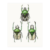 Cc Insects 04 (Print Only) thumbnail
