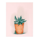 Aloe in orange pot (Print Only) thumbnail