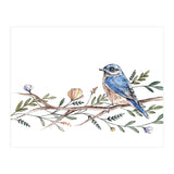 Bird on Branch (Print Only) thumbnail