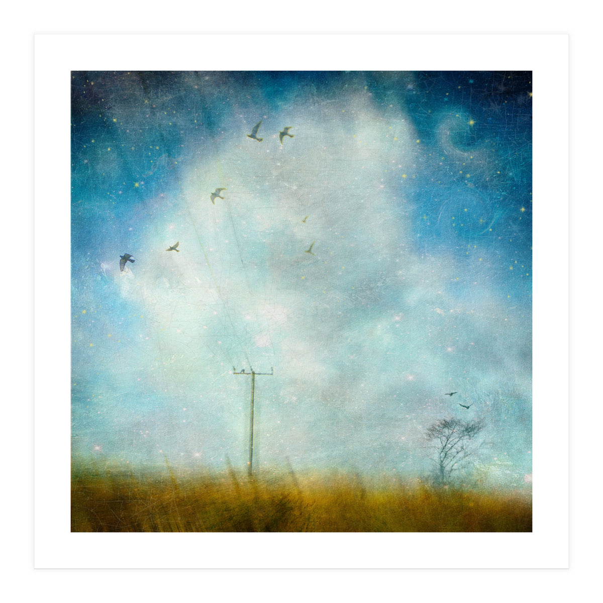 Silence, Shattered (Print Only)