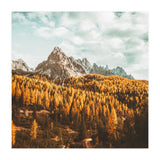 Let's Get Lost (Print Only) thumbnail