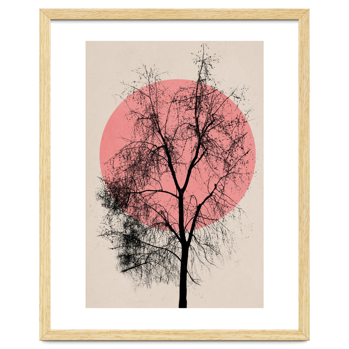 Memories And Moments