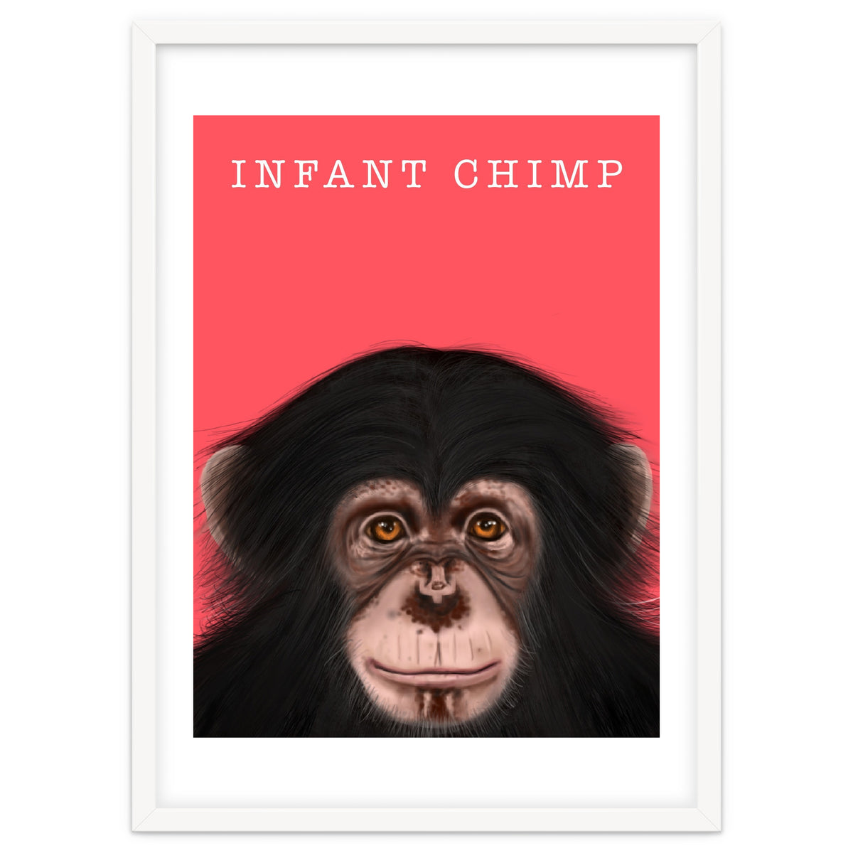 Infant Chimp