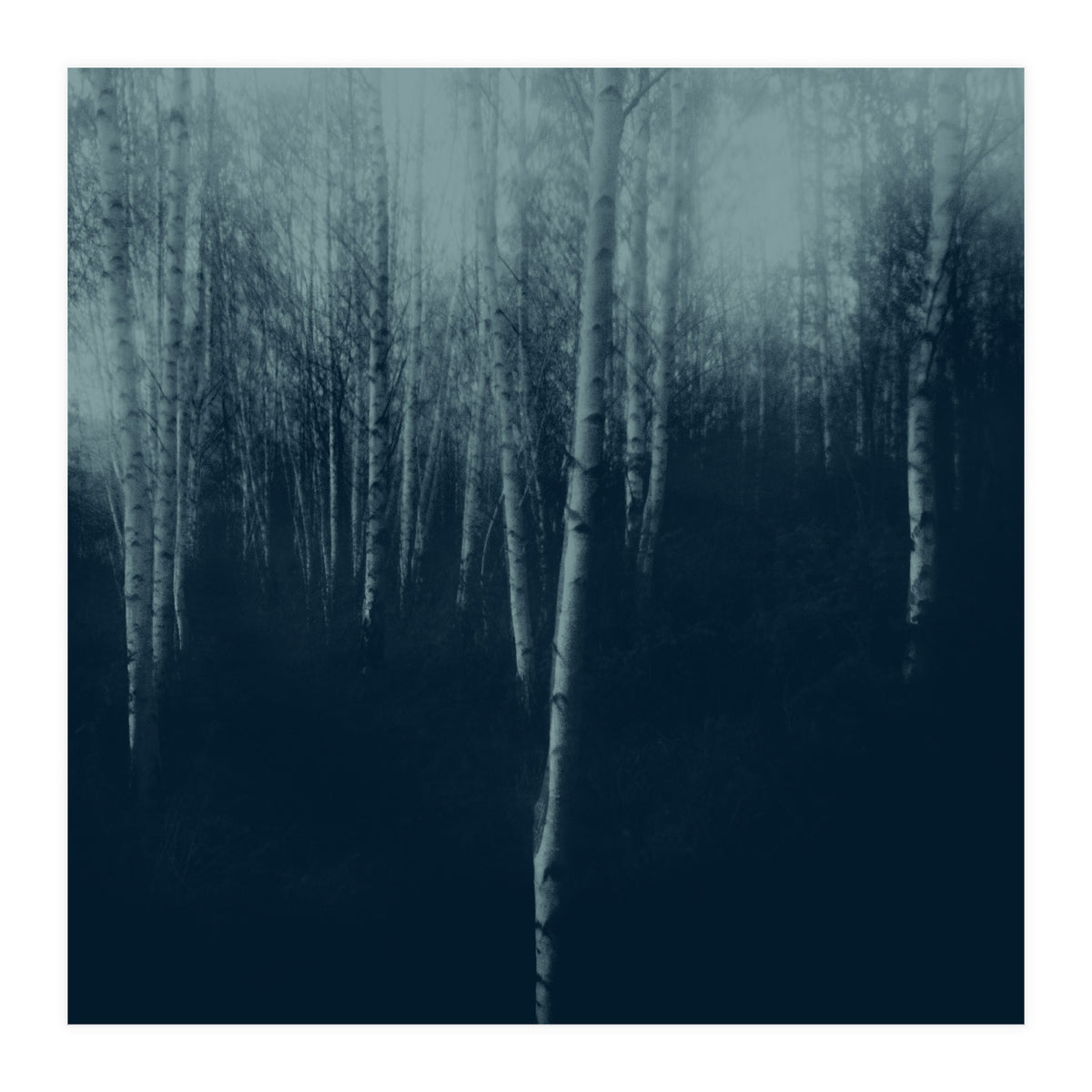 deep veins I (Print Only)