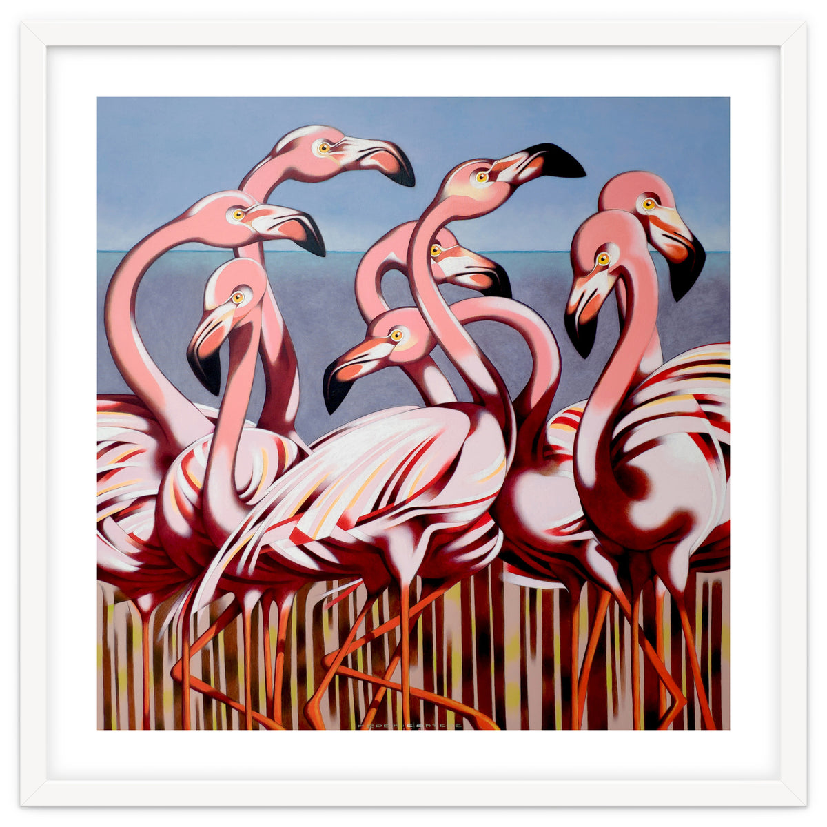 Flamingos