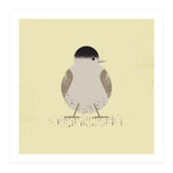 Blackcap 2 (Print Only) thumbnail