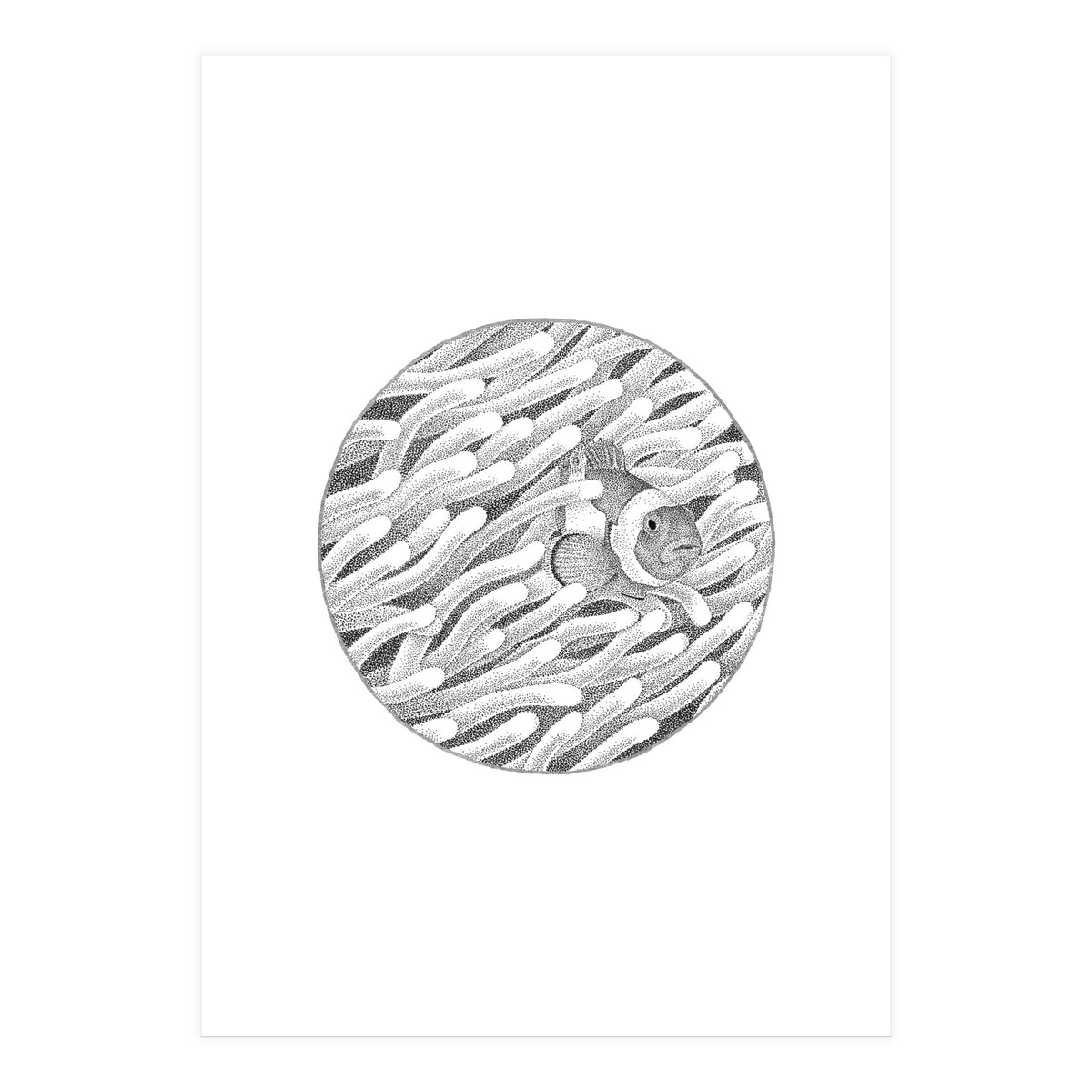 P.O. Underwater Gardens (Print Only)