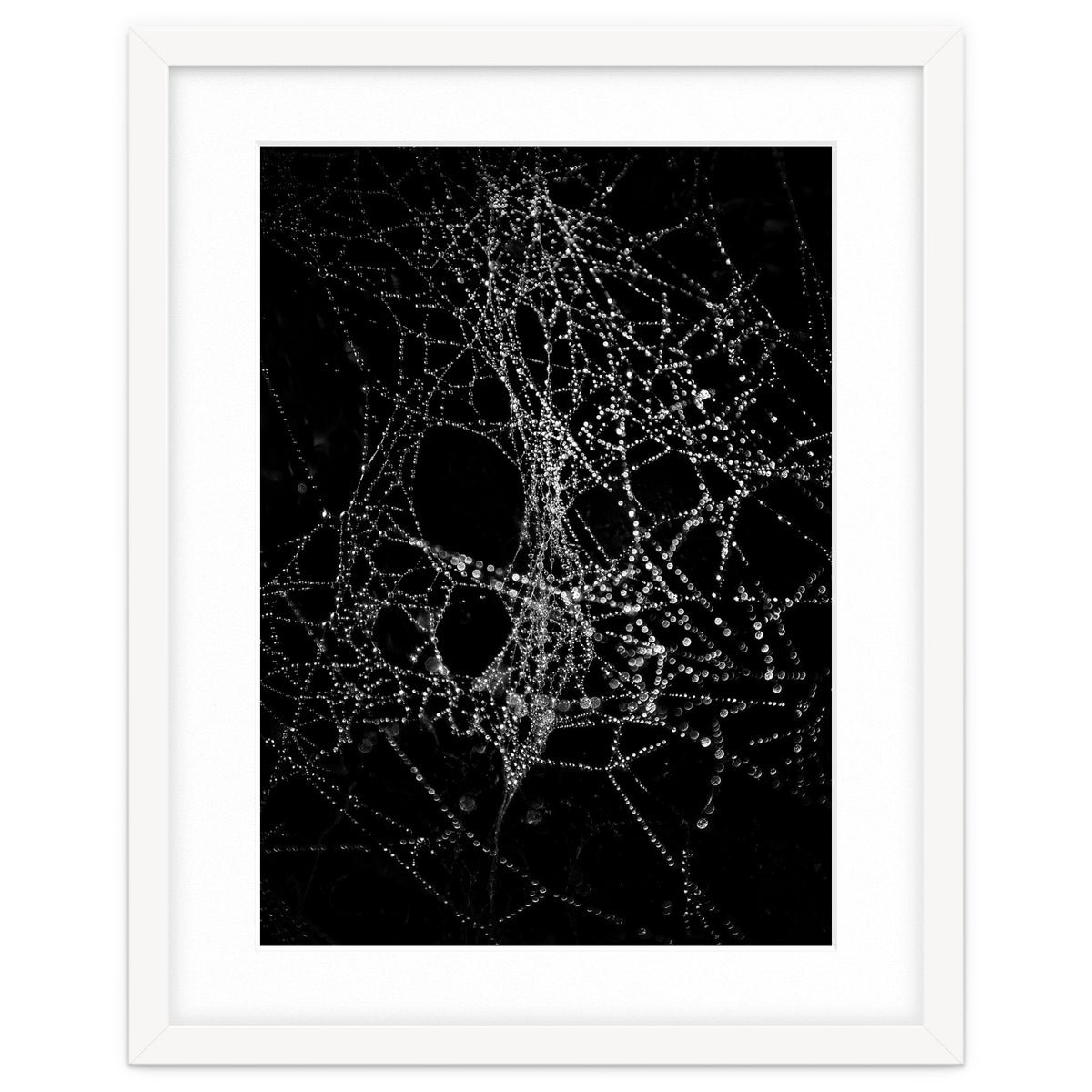 Spiderweb No 4