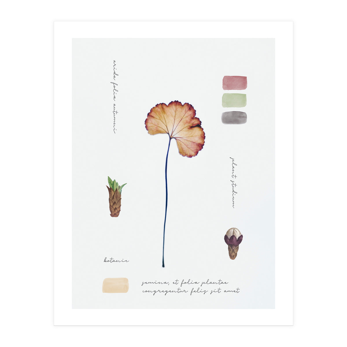Botanical Notes (Print Only)