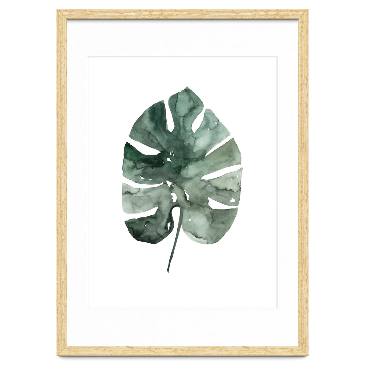 Botanical Illustration Monstera Leaf