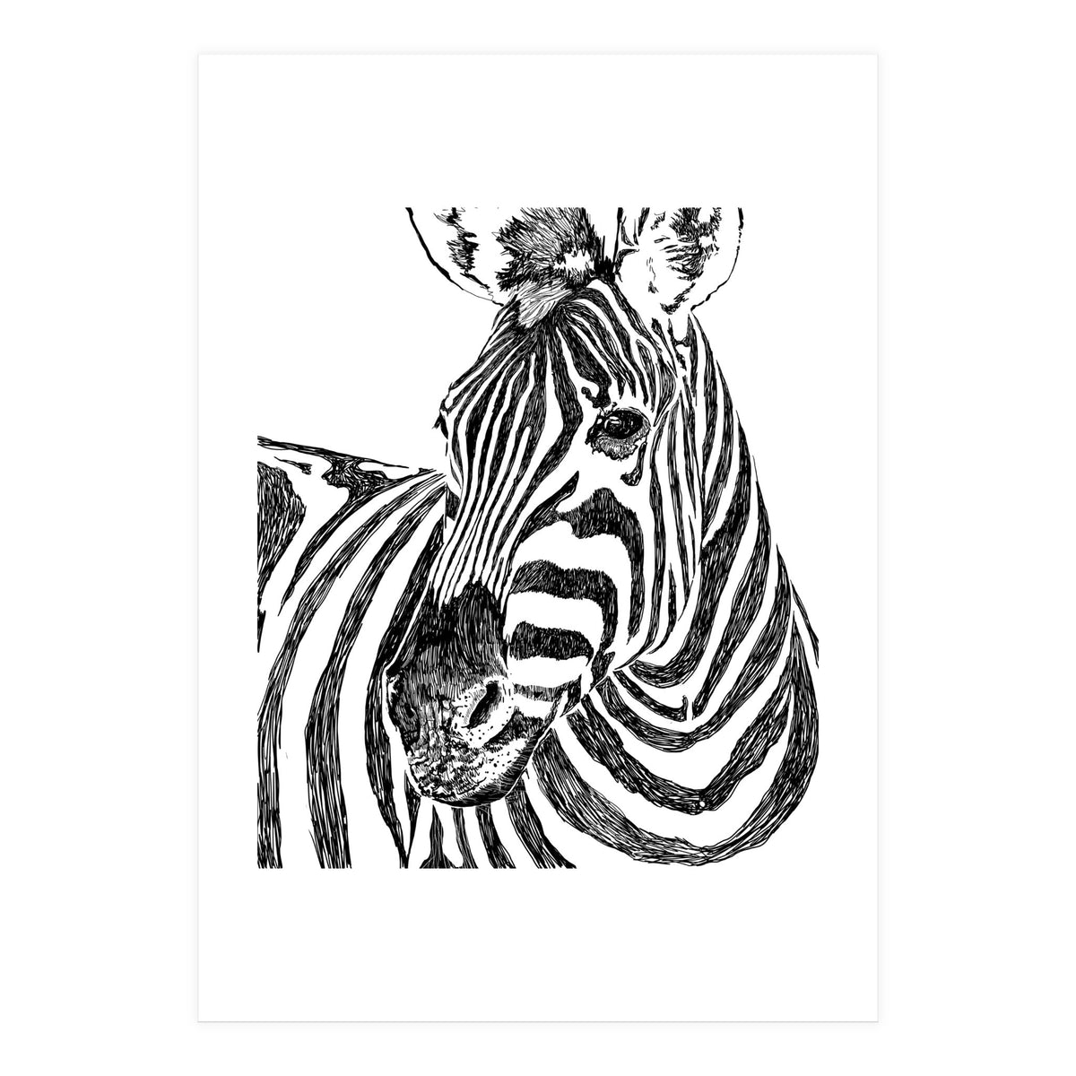 Zebra (Print Only)