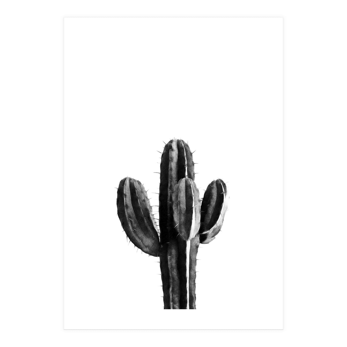 Cactus Black And White 03 (Print Only)