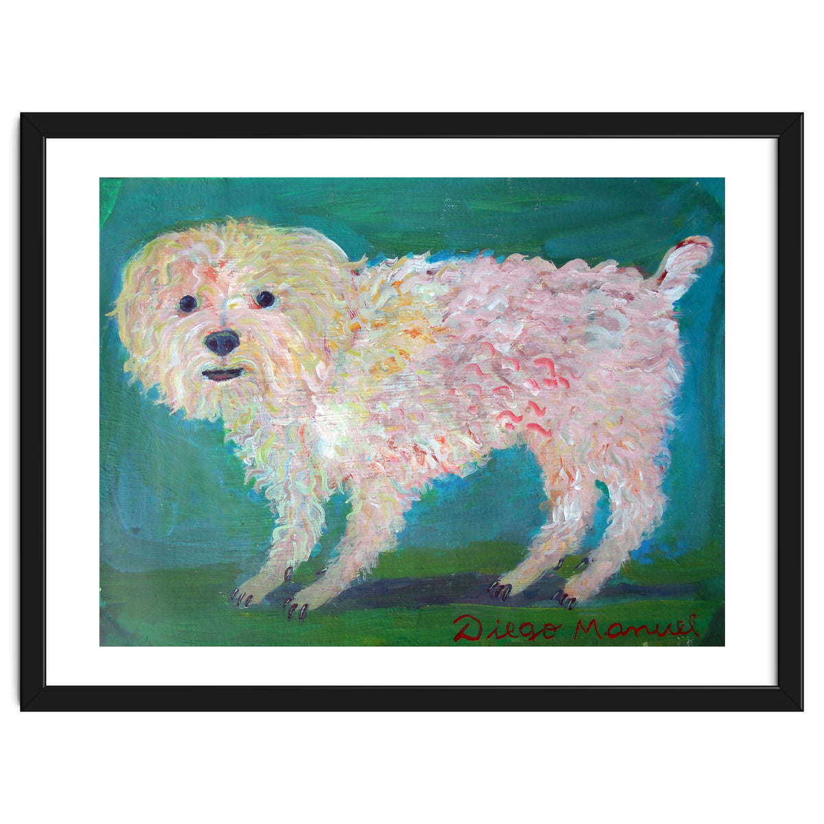 Caniche Blanco De Diego Manuel Rodriguez