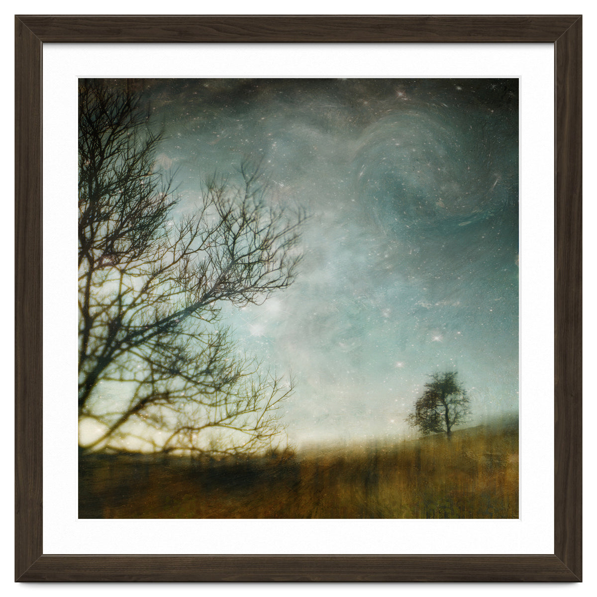 The Tree That Whispered