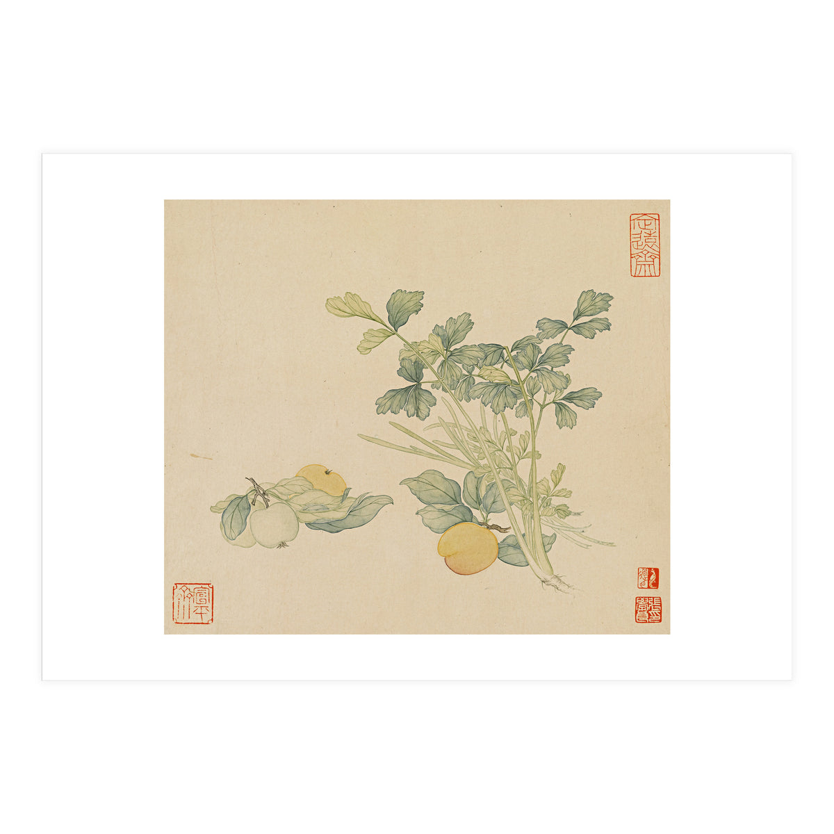 Wang Chengyu~flowers And Vegetables, Vegetables, Fruits, Plums, Apricots, Celery (Print Only)