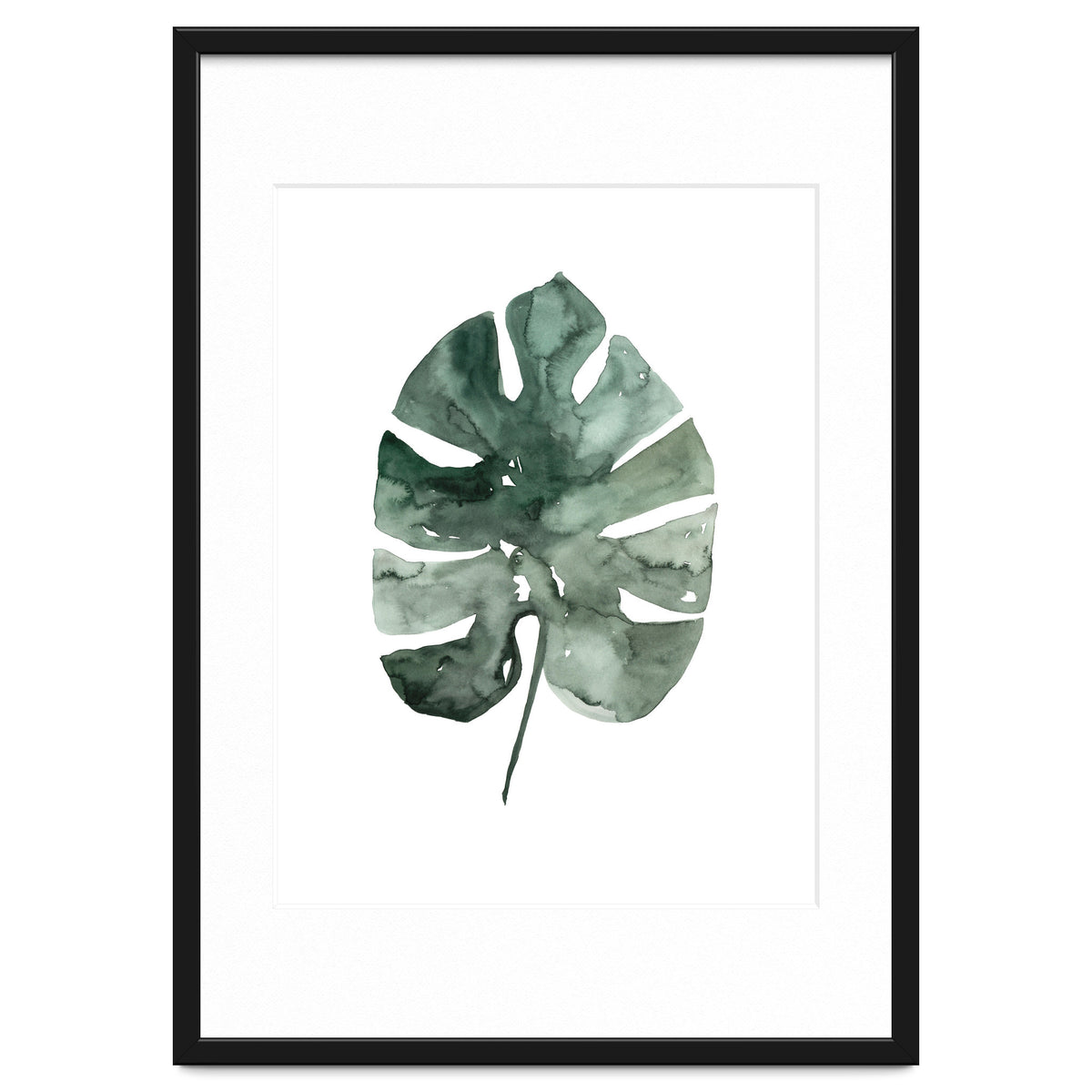 Botanical Illustration Monstera Leaf