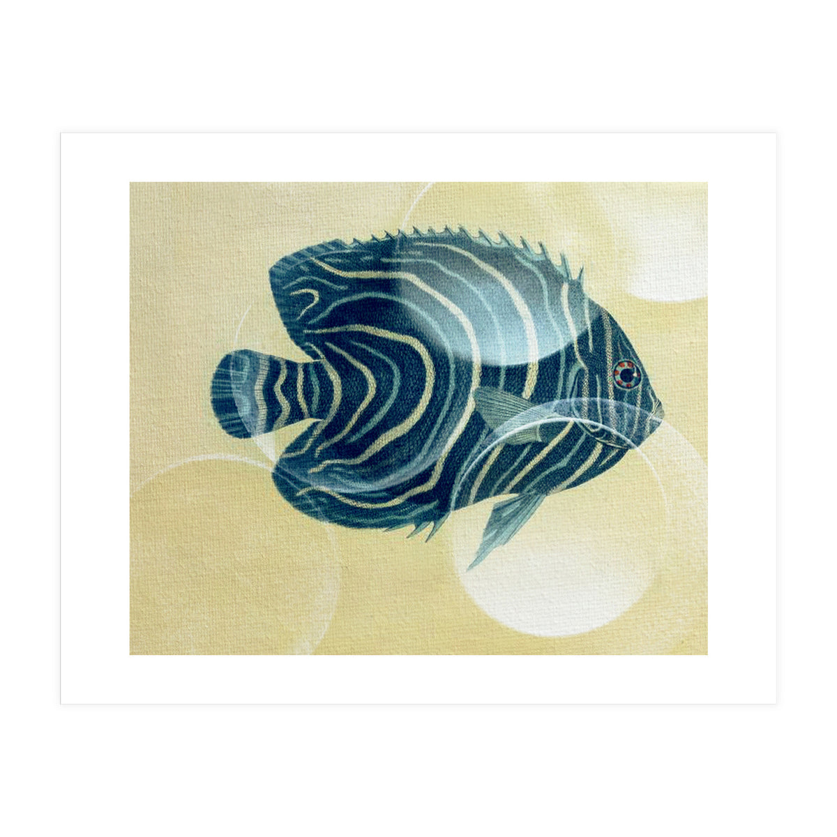 Fish Between Circles (Print Only)
