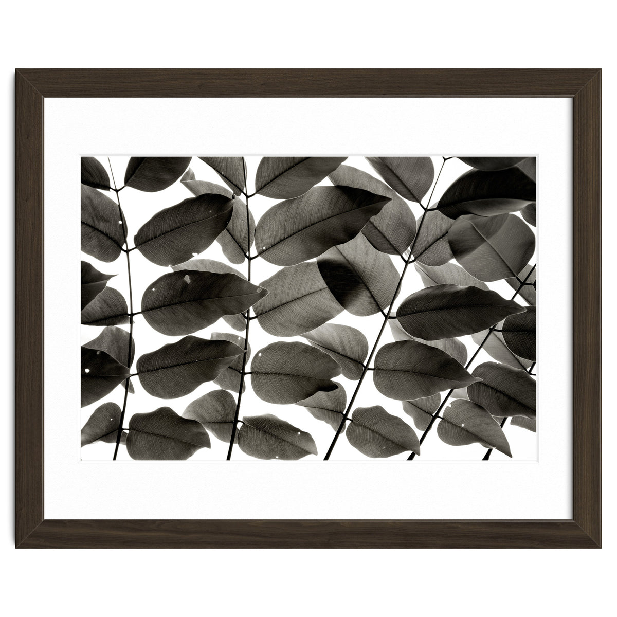 Branches and Leaves I