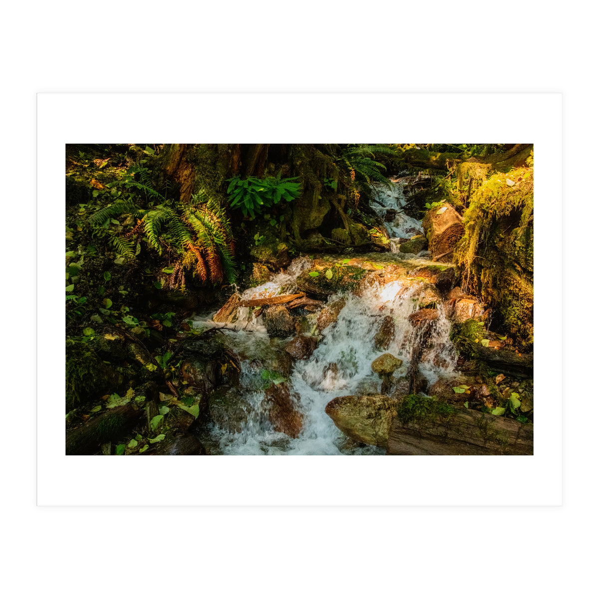 Baker Waterfall (Print Only)