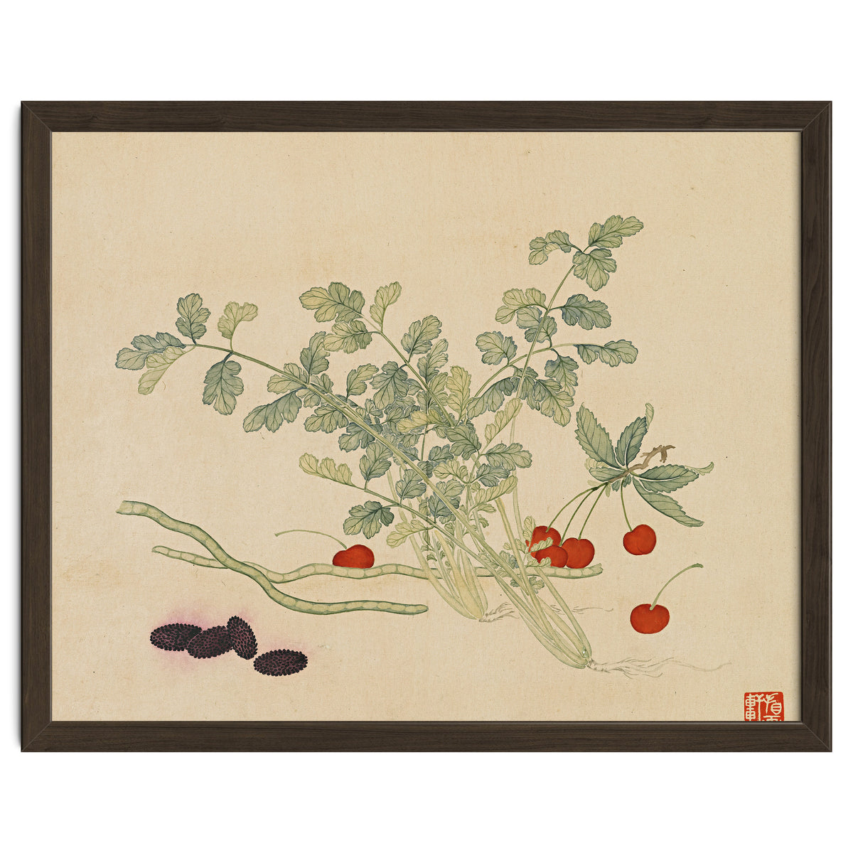 Wang Chengyu~flowers And Vegetables, Vegetables, Fruits, Beans, Red Beans, Cherries, Celery