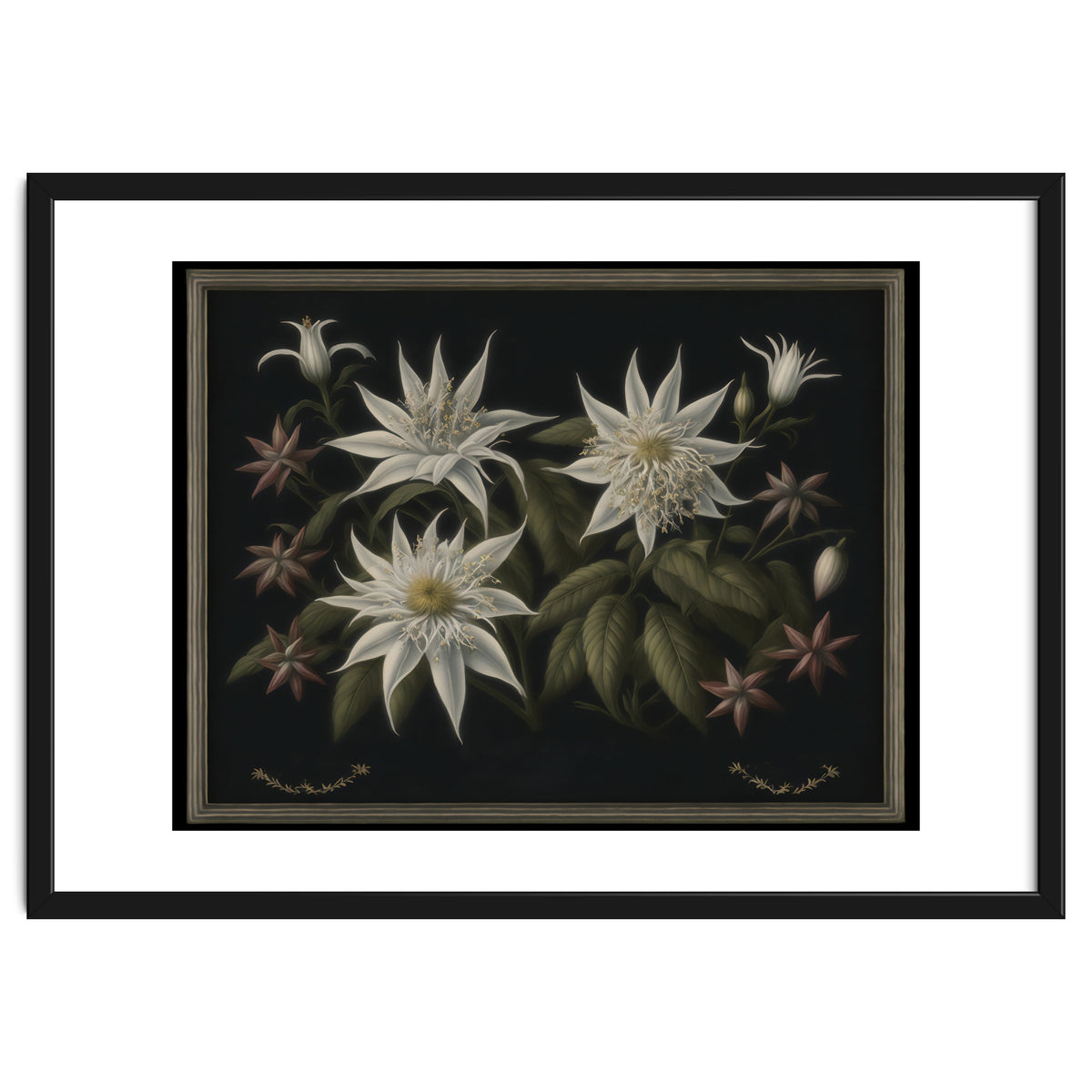 Edelweiss Vintage Illustration