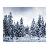 Winterland (Print Only) thumbnail