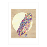 Owl (Print Only) thumbnail