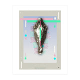 Equus quagga (Print Only) thumbnail