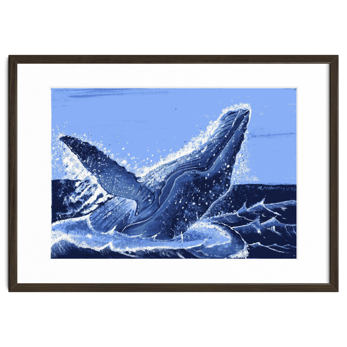 Humpback Whale Breaching