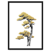 Bonsai Tree 04