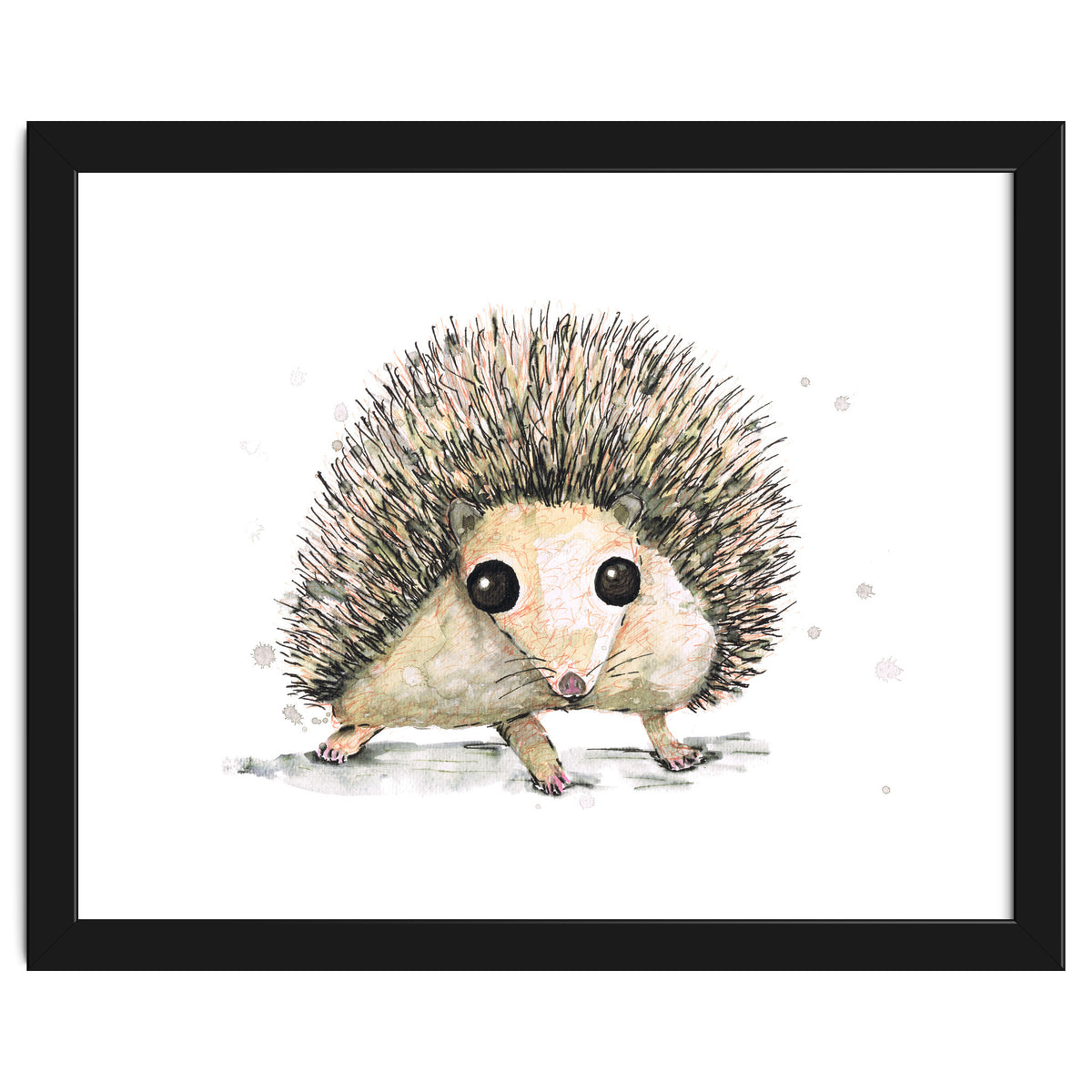 Hedgehog