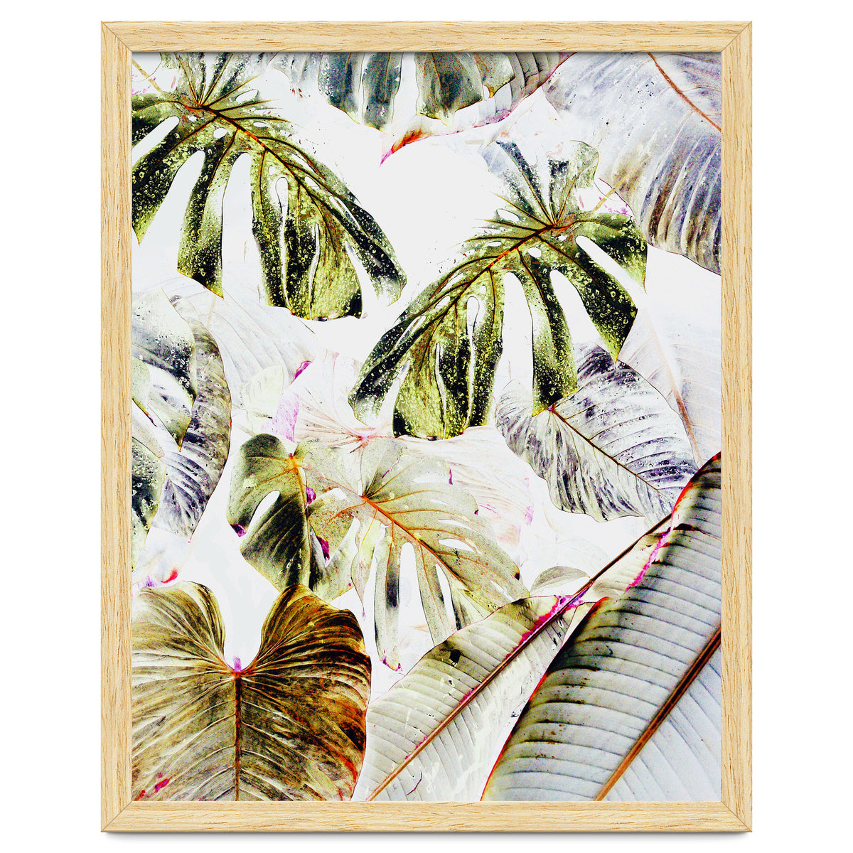 Vintage Tropica