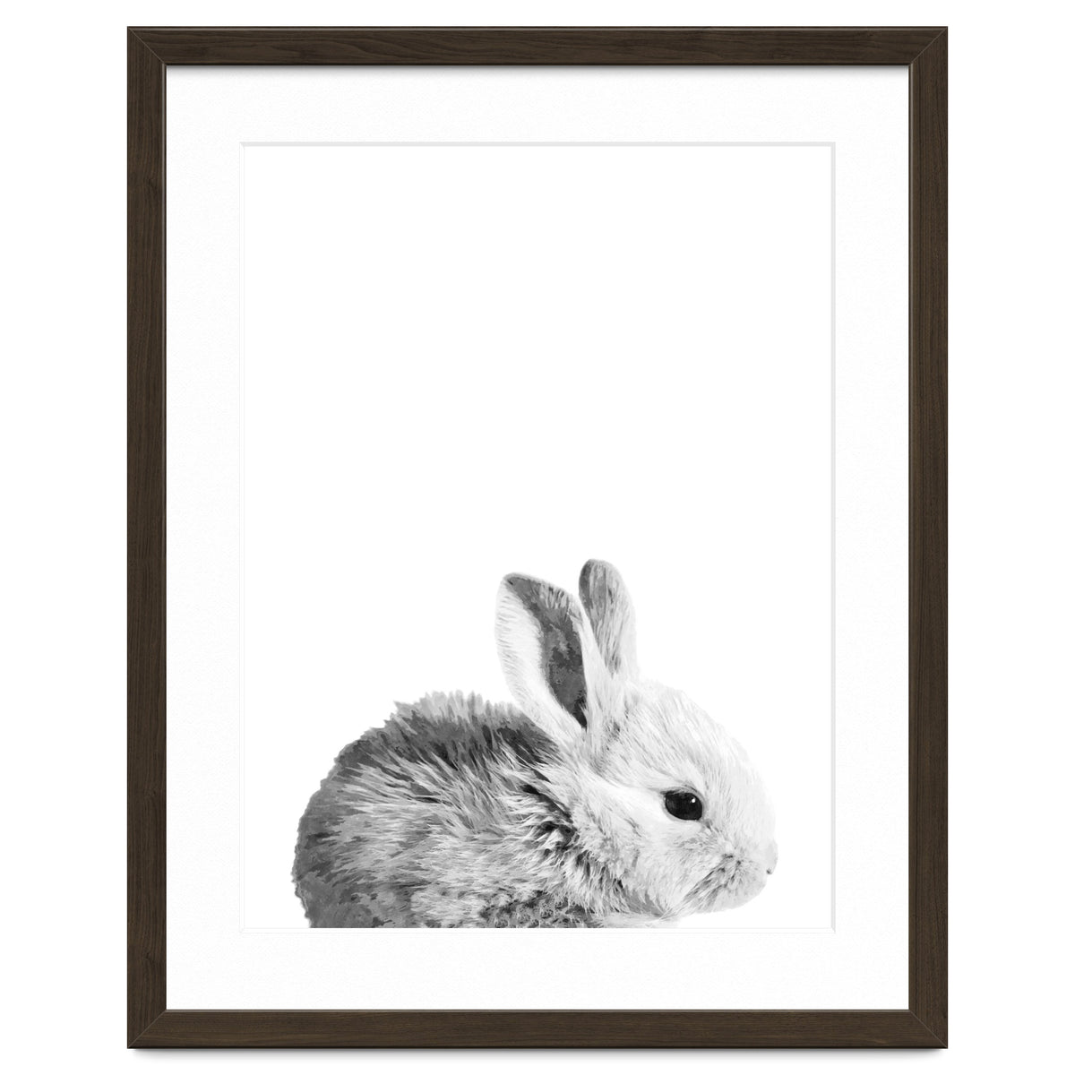 Black and White Bunny Portrait