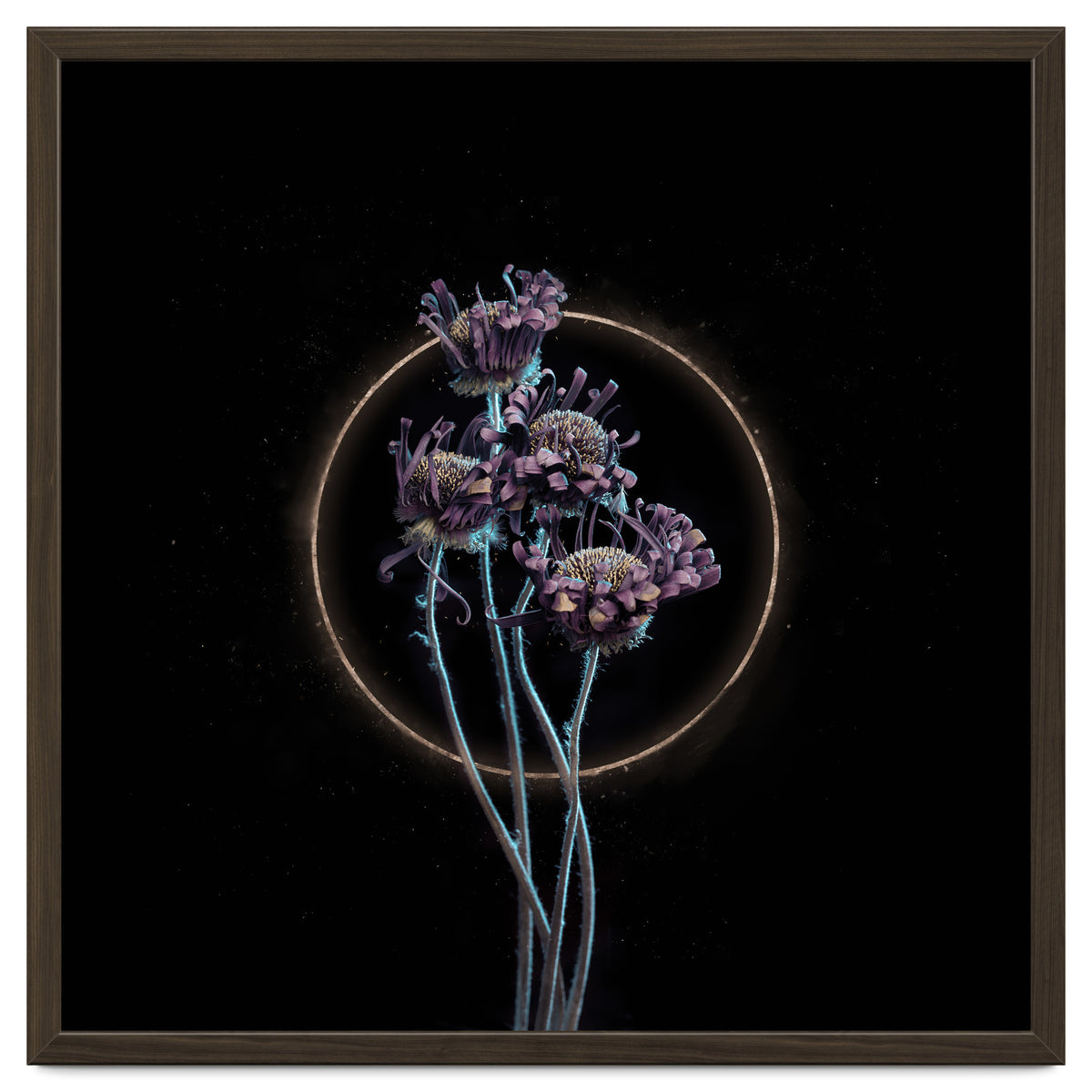 Candy-Coloured Mystery