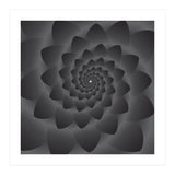 3 D Modern Black Floral (Print Only) thumbnail