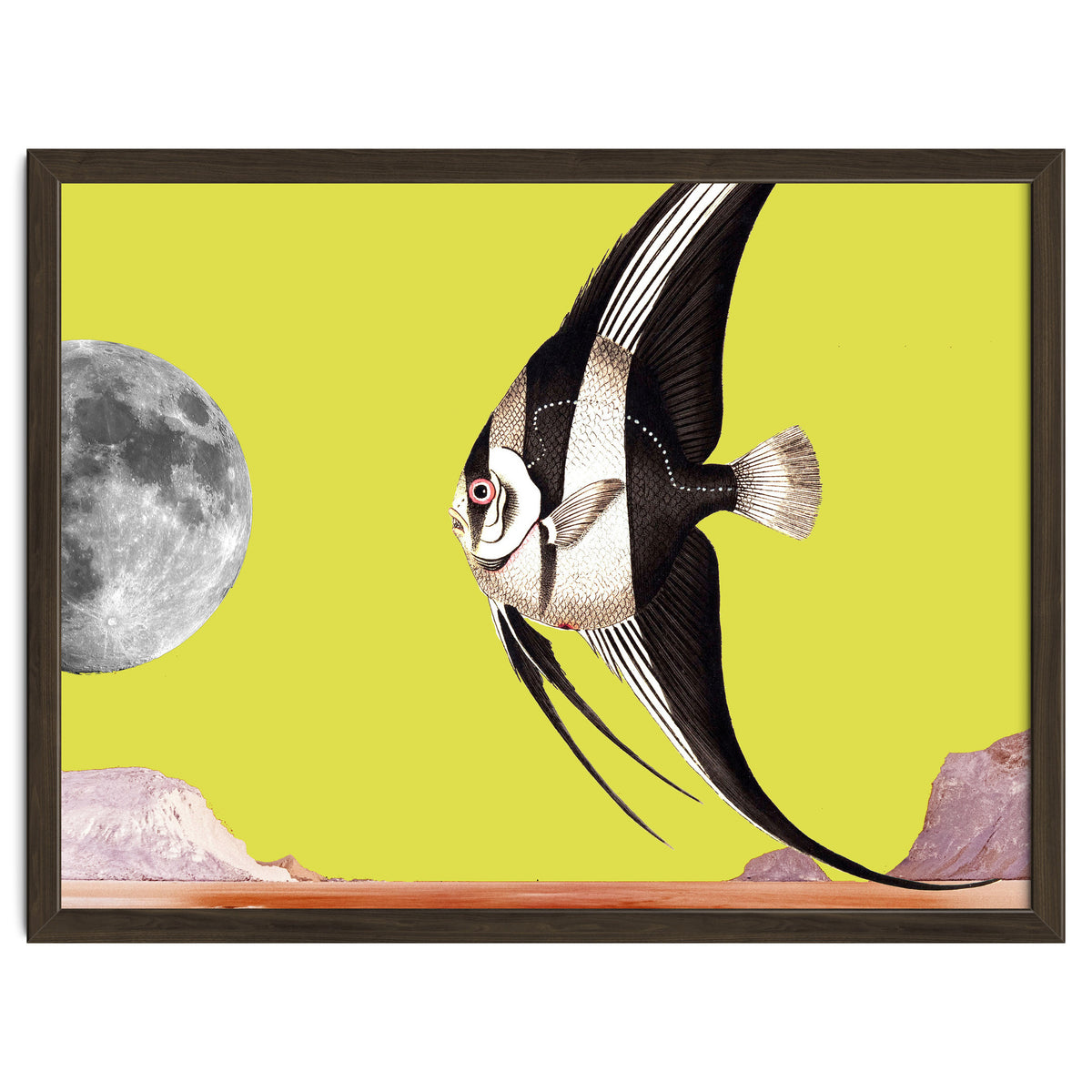 Plenty of fish in the sea yellow