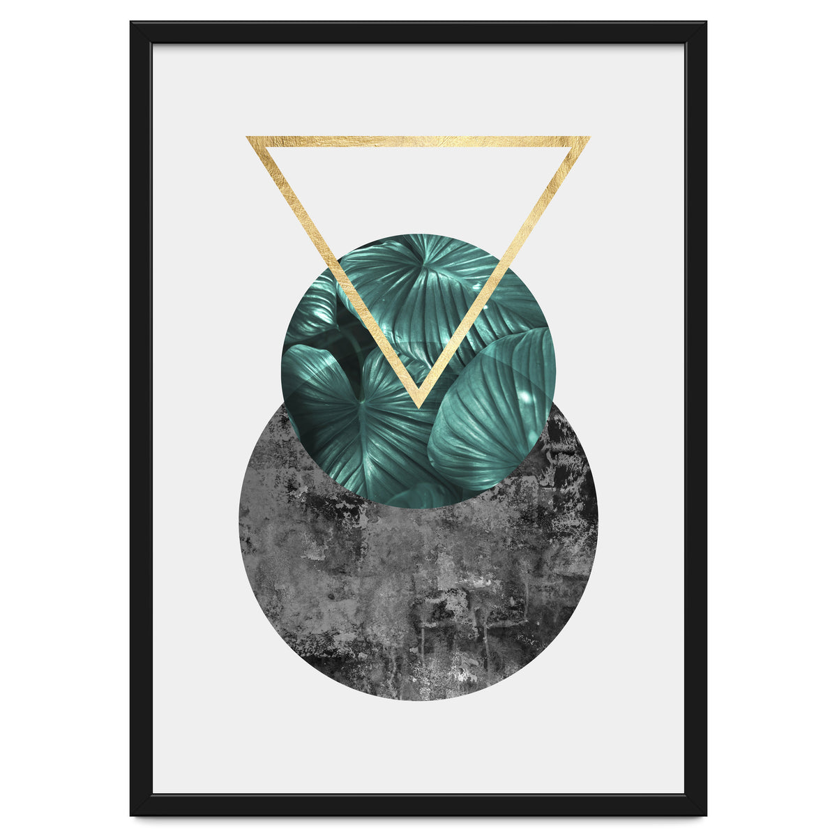 Botanical and geometric I