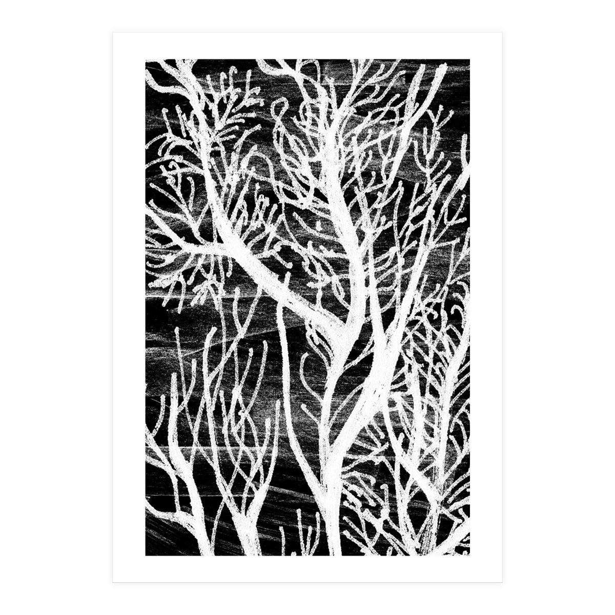 Desert Colours Collection 5 (Print Only)