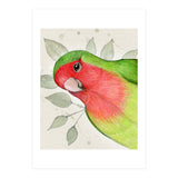 Curious lovebird (Print Only) thumbnail