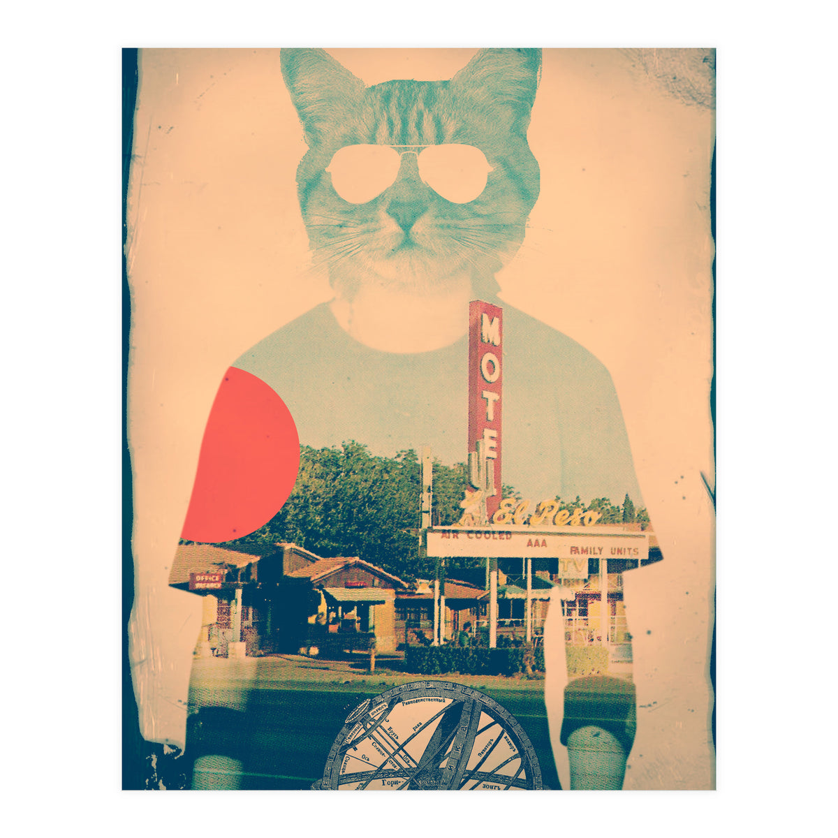 Cool Cat (Print Only)