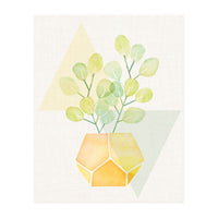 Geometry and House Plant (Print Only)