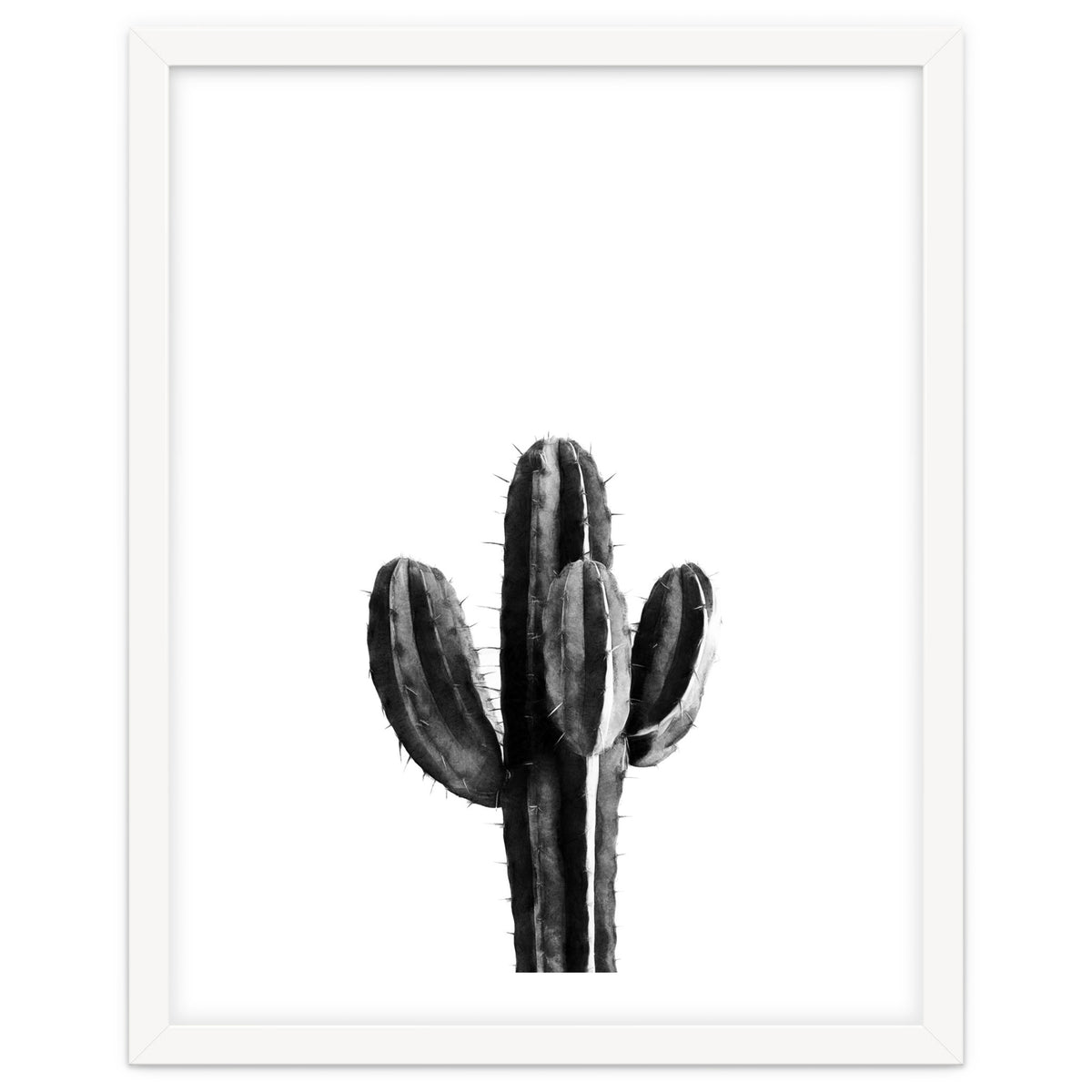 Cactus Black And White 03