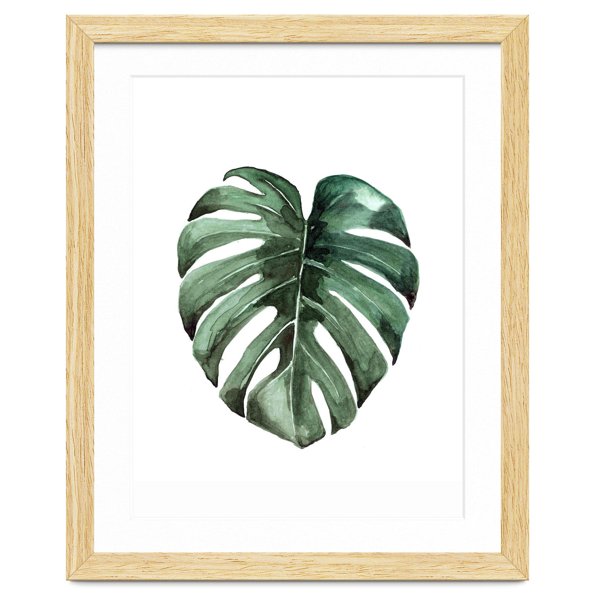 Botanical Illustration Monstera Deliciosa