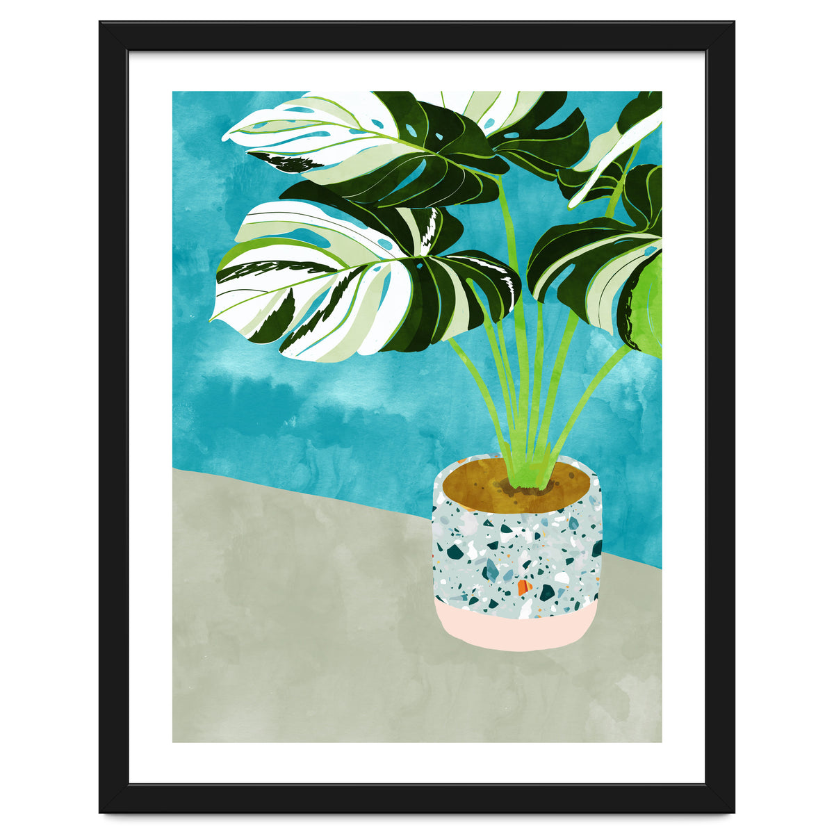 Variegated Monstera