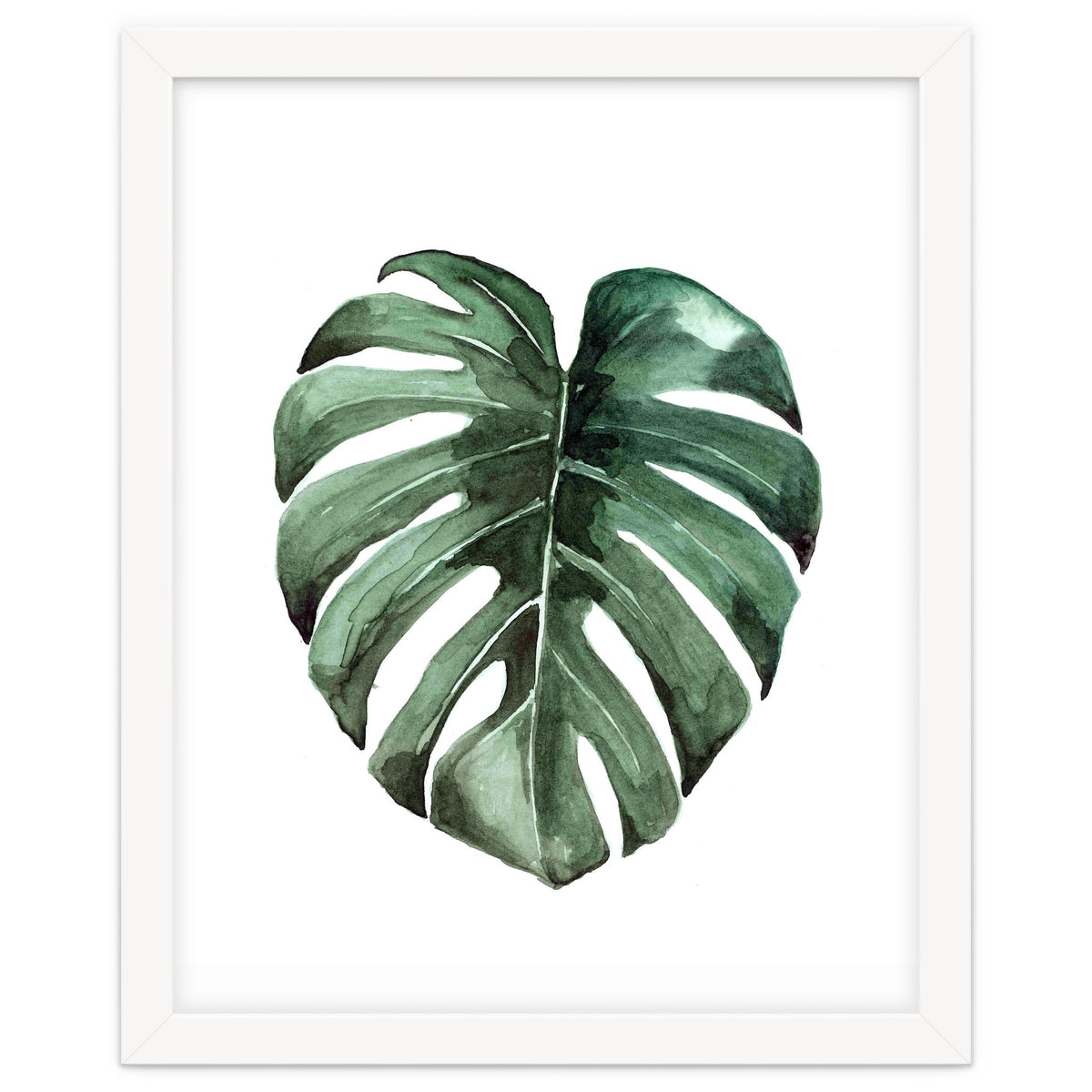 Botanical Illustration Monstera Deliciosa