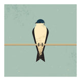 Swallow (Print Only) thumbnail